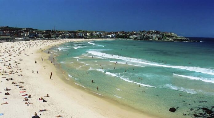 Cruise from Charleston to the Bahamas